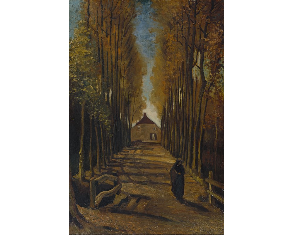 Avenue of Poplars at Sunset