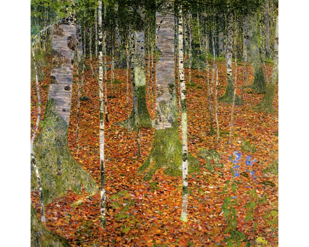 Birch Forest