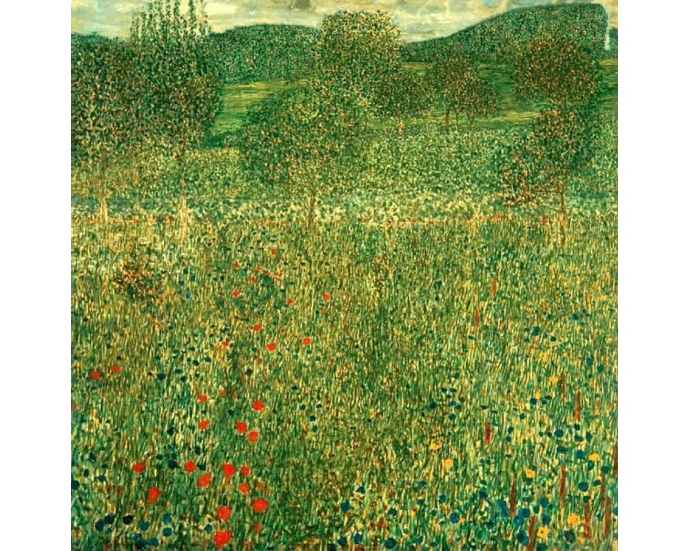 Blooming Field