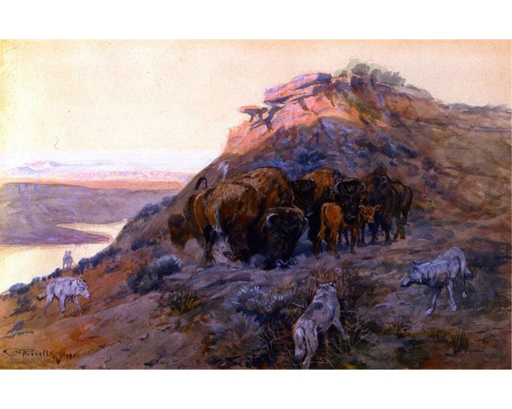 Buffalo Herd at Bay