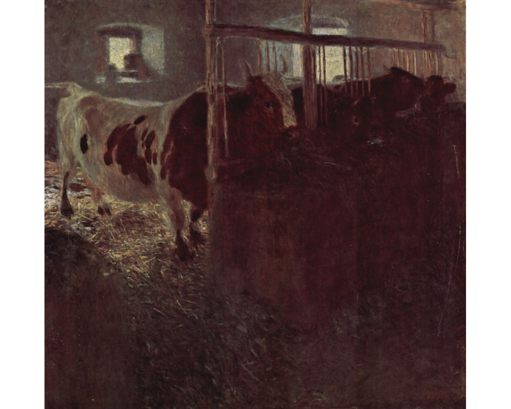 Cows in the Barn