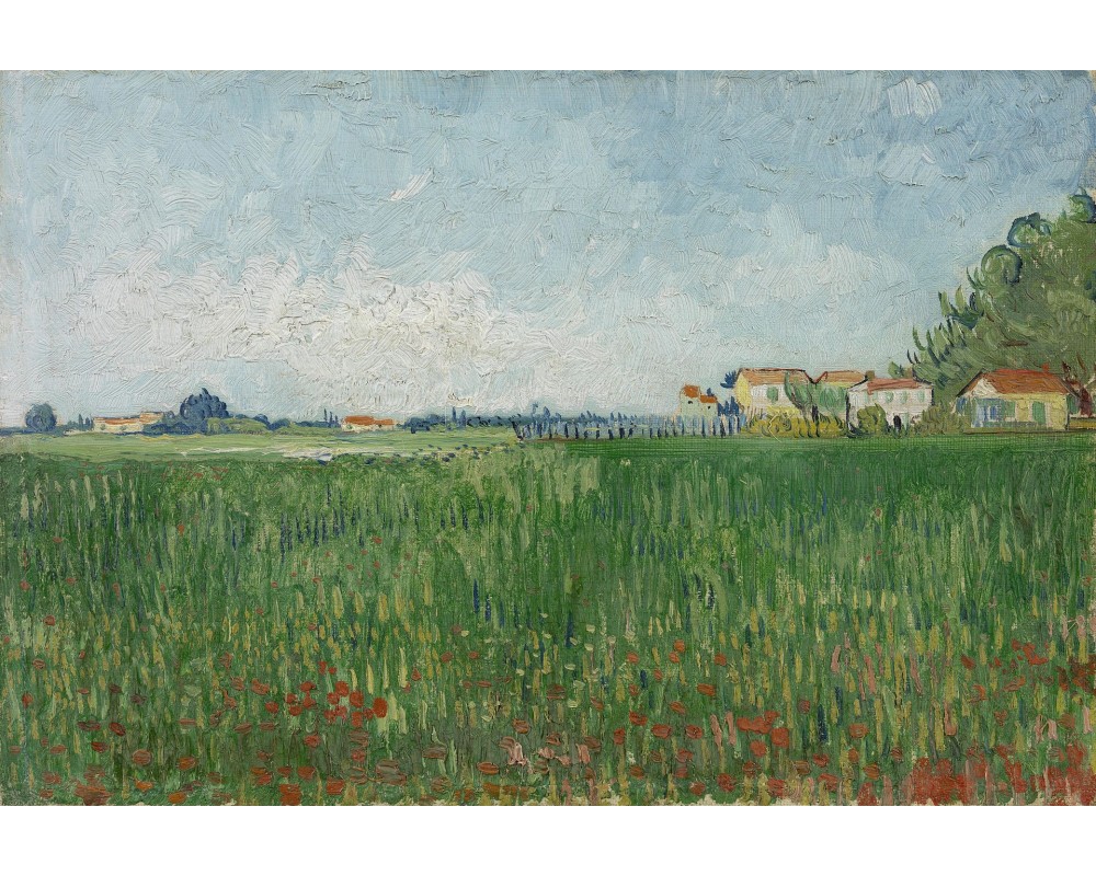 Farmhouse in a Wheat Field near Arles