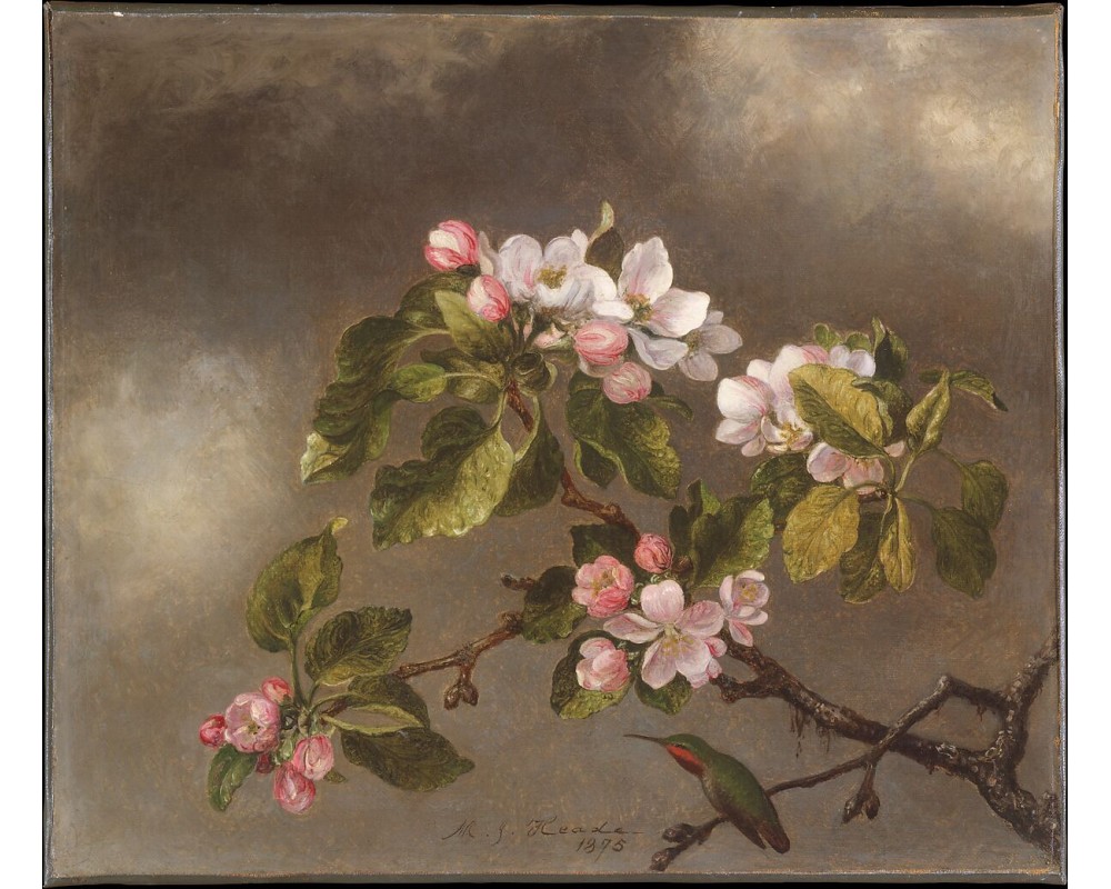 Hummingbird and Apple Blossoms