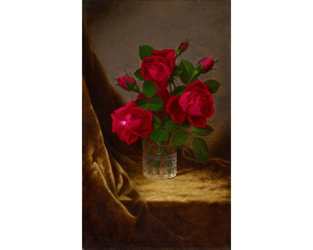 Jacqueminot Roses