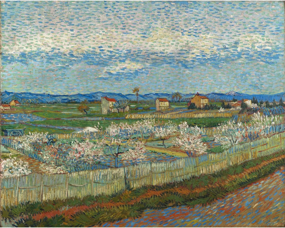 La Crau with Peach Trees in Blossom