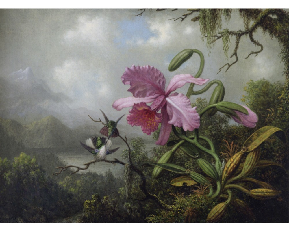 Orchid and Hummingbirds near a Mountain Lake