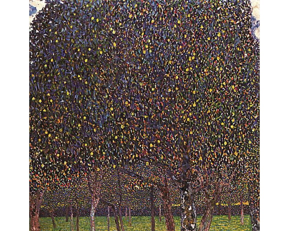 Pear Tree