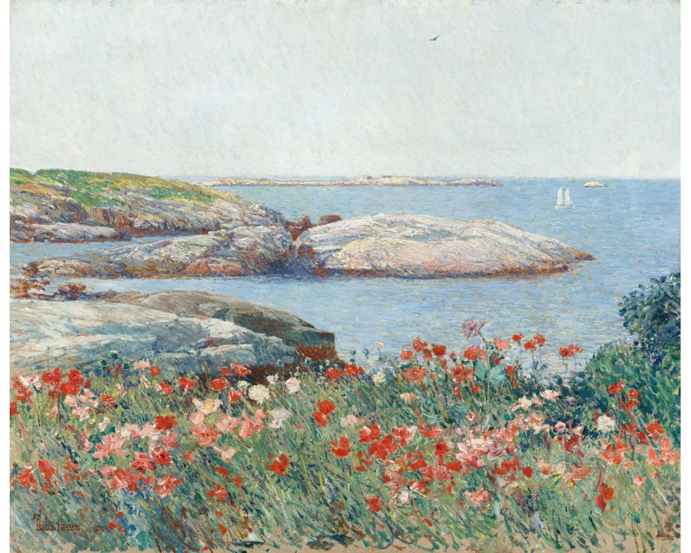 Poppies, Isles of Shoals