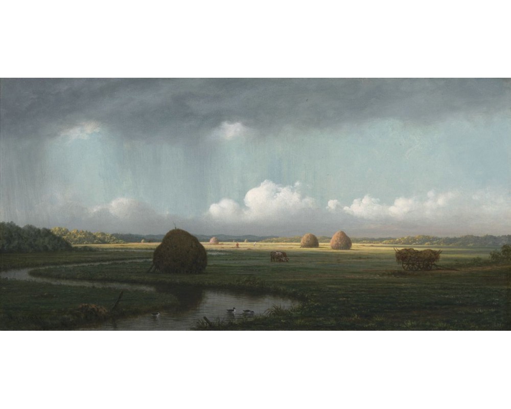 Sudden Showers, Newbury Marshes