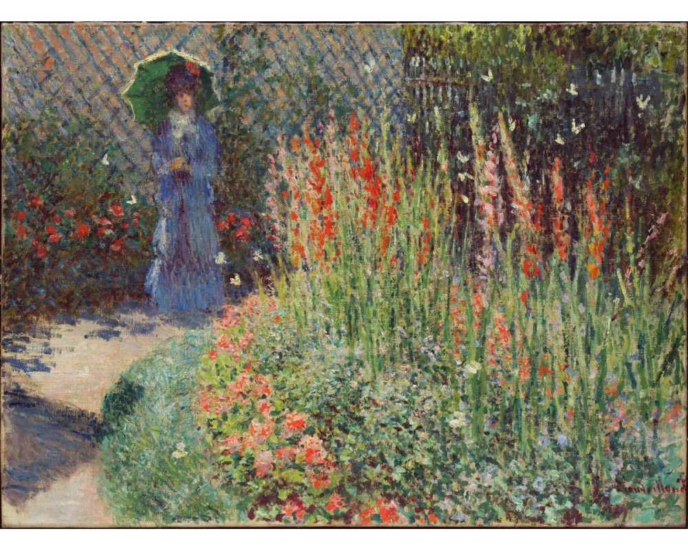 The Garden, Gladioli