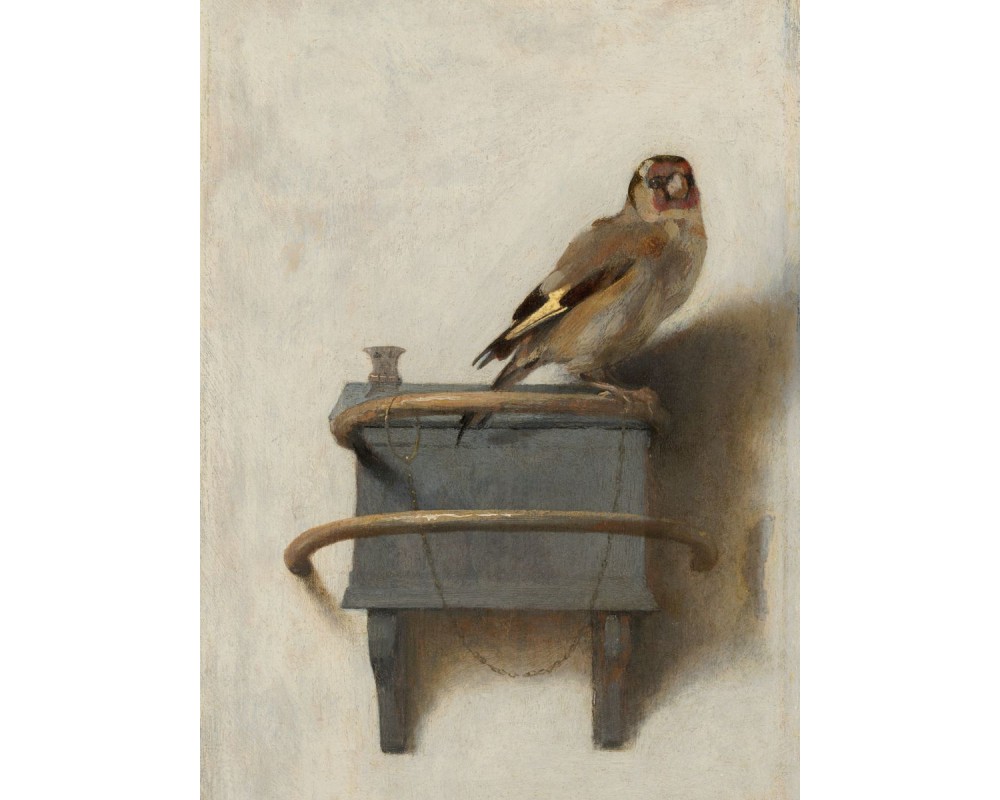 The Goldfinch