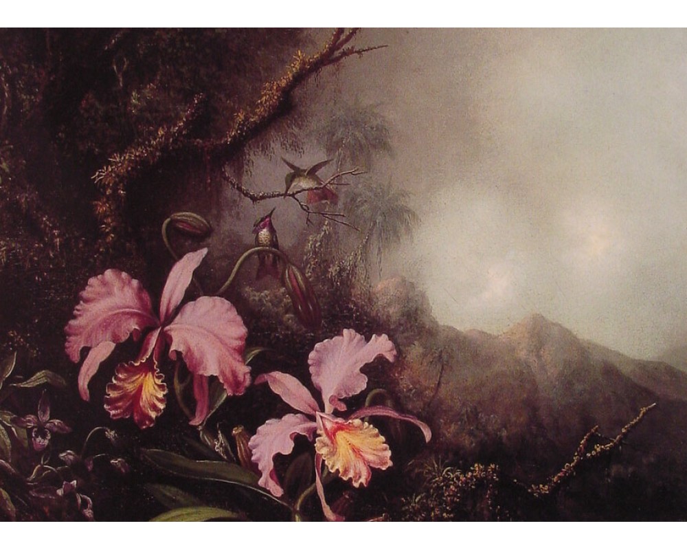 Two Orchids in a Mountain Landscape