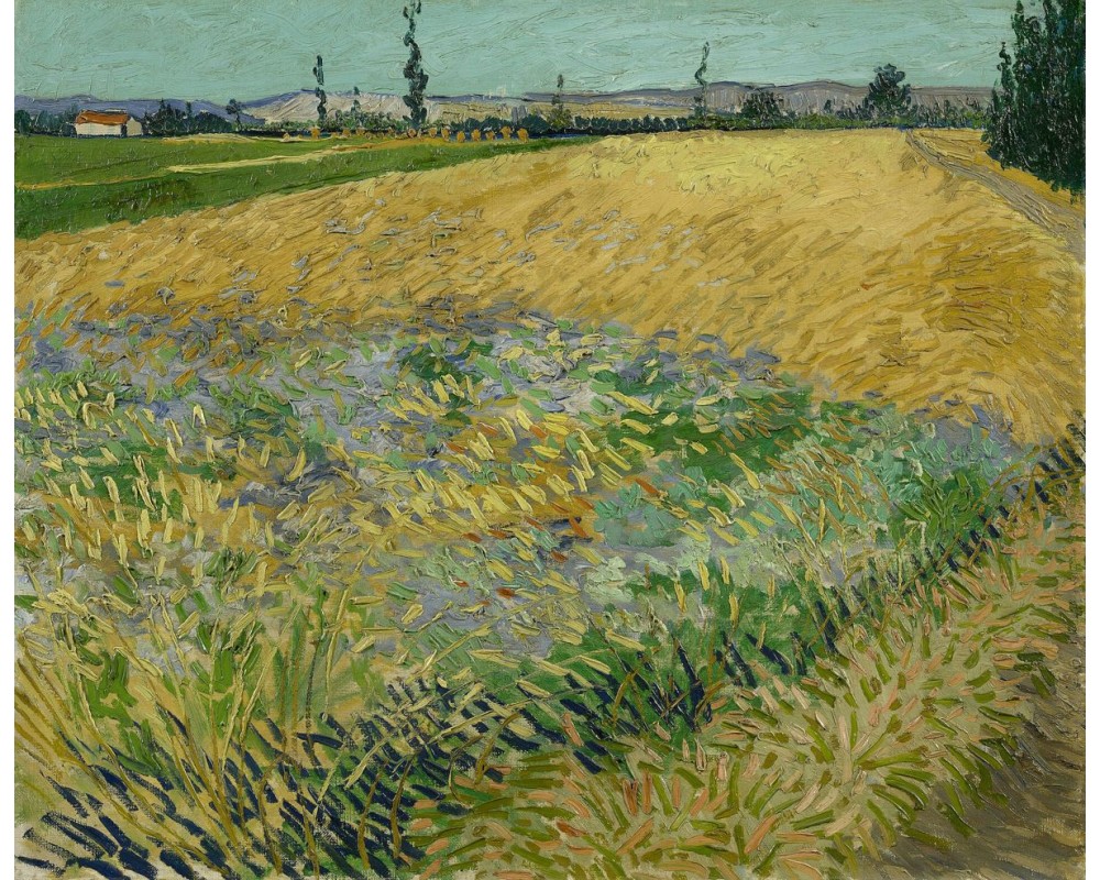 Wheat Field with the Alpilles Foothills in the Background