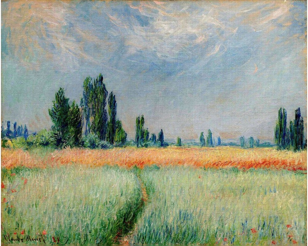 Wheatfield